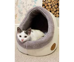 Dream Paws Banbury & Co Cat Bed