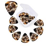 Dream Puppy Guitar Picks Set of 12 with Custom Organizer Storage Box, Guitar Accessories, Ukulele for Acoustic Guitar, Bass, Valentine's Day Gift