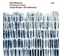 Shai Maestro, Jorge Roeder, Ofri Nehemya - The Dream Thief [VINYL]