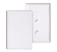Dreambaby Paintable Cover Plug - Baby Safety Outlet Plug Cover (2 Pack) | Outlet Plug Covers - Paintable Wall Plate Design - Covers Unused Outlets - Helps Protect Curious Little Hands