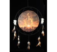 Dreamcatcher Dragon - Solistice by Anne Stokes - Fantasy Decorations