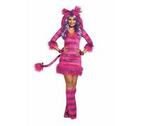 Dreamgirl Storybook Magic Cat Sexy Dress Adult Womens Halloween Costume 11161