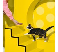 DREAMIES Junior Box Cat Treats with Cheese, Chicken and Salmon 150g