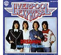 Dreamin`/Beauty Of the Bitch (7" Vinyl Single)(1977)(Warner Brothers WB 16933)