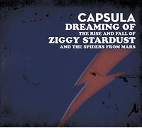 Dreaming Rise Fall of Ziggy Stardust and The Spiders from Mars