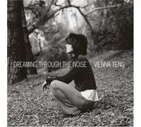 Dreaming Through the Noise by Vienna Teng