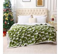 DREAMLANDING Sherpa Fleece Blanket Sofa Throw Double-Sided Super Soft Warm Throw Blanket For Bed, Sofa, Couch (Christmas Green, 150×200cm)