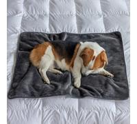 DREAMLANDING Waterproof Fleece Blanket Washable Soft Plush Pet Throw Protects Couch, Chair, Bed from Spills Stain or Pet Fur Twin/Double Throw Fit All Season (Grey,75 * 100cm)