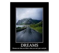 Dreams Demotivational Poster Snarky Ironic Funny Sarcastic Office Wall Decor Art Print 11x14 Inches Unframed