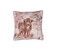 Dreams & Drapes 'Hanson Highland Cow' Luxe Velvet Filled Cushion in Terracotta | Size: 43 cm x 43 cm Dreams & Drapes Terracotta 43 cm x 43 cm