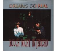 Dreams So Real - Rough Night In Jericho [VINYL]