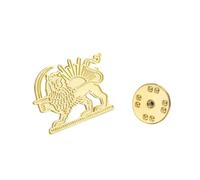 Dreamtimes Iran Lion and Sun Brooch Pin for Men Women Iranian Commemorative Medal Lapel Pins Stainless Steel Persian Vintage Iran Jewellery, M, Stainless steels