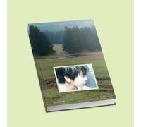 Dreamus DOYOUNG - The Foam of Youth [Spring ver.] 1st Album, L700001418