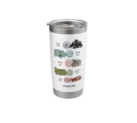 DreamWorks Dragons Dragon Color Class Stainless Steel Insulated Tumbler