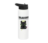 DreamWorks Dragons Everybody Loves Toothless Front & Back Stainless Steel Insulated Water Bottle