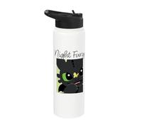 DreamWorks Dragons Night Fury Toothless Butterfly Stainless Steel Insulated Water Bottle
