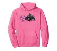 DreamWorks Dragons Strike Class Toothless Pullover Hoodie, Adult Unisex, Bright Pink, X-Large