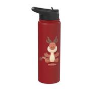 DreamWorks Dragons Tiny Adventures Hookfang Stainless Steel Insulated Water Bottle