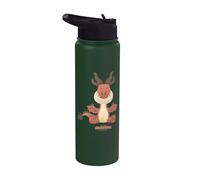 DreamWorks Dragons Tiny Adventures Hookfang Stainless Steel Insulated Water Bottle