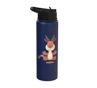 DreamWorks Dragons Tiny Adventures Hookfang Stainless Steel Insulated Water Bottle