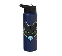 DreamWorks Dragons Toothless Blue Flame Stainless Steel Insulated Water Bottle