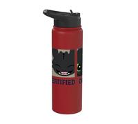 DreamWorks Dragons Toothless Certified Trainer Stainless Steel Insulated Water Bottle
