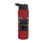 DreamWorks Dragons Toothless Feisty Trainer Stainless Steel Insulated Water Bottle