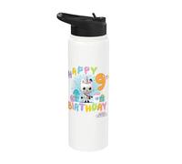 DreamWorks Gabby's Dollhouse Happy 9th Birthday Stainless Steel Insulated Water Bottle