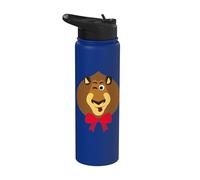 DreamWorks KouKou Alex The Lion Holiday Bow Stainless Steel Insulated Water Bottle