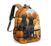 Dreamy Corgi Print Backpack 16 Inch Cute Moon and Stars Kids School Bag Pastel Clouds All Over Pattern Bookbag (06)