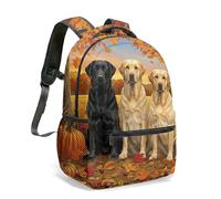 Dreamy Corgi Print Backpack 16 Inch Cute Moon and Stars Kids School Bag Pastel Clouds All Over Pattern Bookbag (07)