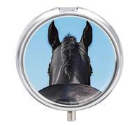 Dreamy Horse Pill Case 3 Compartment Pillbox