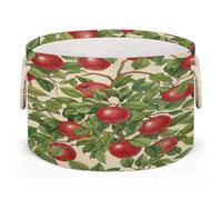 Drekrid Large Storage Baskets - Vintage Red Apples Nursery Organizer Bin Box with Handles, Round Collapsible Laundry Hamper for Toys, Blanket, Bedroom Living Room Home Decor, Gift Basket