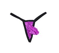 Drelaar Men's Sexy Trap Underwear Soft Breathable Low Rise T-Back See-Through G-strings Small Purple