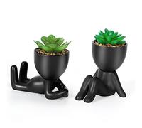 Dremisland 2PCS Fake Plants Artificial Succulents Plants Decor Fake Succulents Indoor Potted Mini Faux Plant with Ceramic Pot Planter Cute Desk Plant for Home Office Table Living Room Shelves