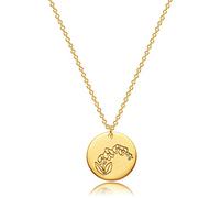 Dremmy Studios Birth Month Flower Pendant Necklace 18K Gold Plated Dainty Simple February Birth Flower Violet Disk Pendant Glossy Engraved Coin Necklace Meaningful The Month Birthday Gift Women