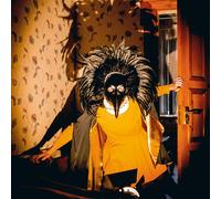 DRENGE - STRANGE CREATURES VINYL LP NEW