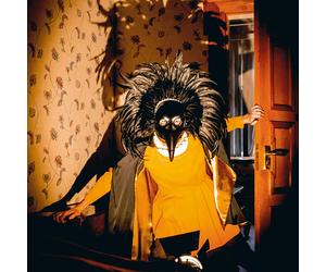DRENGE - STRANGE CREATURES VINYL LP NEW