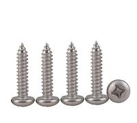 Drenky 100pcs M4 Phillips Pan Head Srews Stainless Steel Self Tapping Screws DIY Woodworking Screws (100PCS M4 x 12mm)