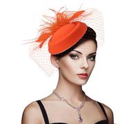 DRESHOW Fascinator Hats for Women Pillbox Hat with Veil Headband and a Forked Clip Tea Party Headwear