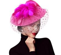 DRESHOW Fascinators Hat Flower Mesh Feather Fascinator Wedding Cocktail Tea Party Hat Headwear for Women Girls