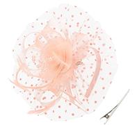 DRESHOW Fascinators Hat Flower Mesh Feathers on a Headband and a Forked Clip Cocktail Tea Party Headwear for Girls and Women