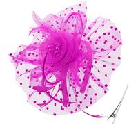 DRESHOW Fascinators Hat Flower Mesh Feathers on a Headband and a Forked Clip Cocktail Tea Party Headwear for Girls and Women