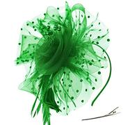 DRESHOW Fascinators Hat Flower Mesh Ribbons Feathers on a Headband and a Forked Clip Cocktail Tea Party Headwear for Girls and Women