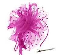 DRESHOW Fascinators Hat Flower Mesh Ribbons Feathers on a Headband and a Forked Clip Cocktail Tea Party Headwear for Girls and Women
