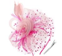 DRESHOW Fascinators Hat Flower Mesh Ribbons Feathers on a Headband and a Forked Clip Cocktail Tea Party Headwear for Girls and Women