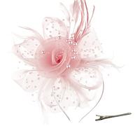 DRESHOW Fascinators Hat Flower Mesh Ribbons Feathers on a Headband and a Forked Clip Cocktail Tea Party Headwear for Girls and Women