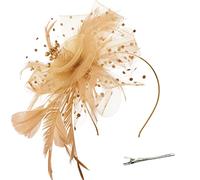 DRESHOW Fascinators Hat Flower Mesh Ribbons Feathers on a Headband and a Forked Clip Cocktail Tea Party Headwear for Girls and Women