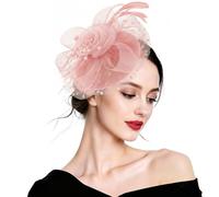 DRESHOW Fascinators Hat Flower Mesh Ribbons Feathers on a Headband and a Forked Clip Cocktail Tea Party Headwear for Girls and Women