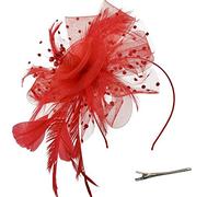 DRESHOW Fascinators Hat Flower Mesh Ribbons Feathers on a Headband and a Forked Clip Cocktail Tea Party Headwear for Girls and Women